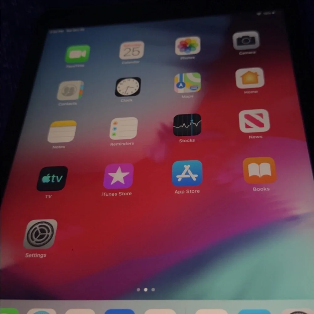 Apple iPad - Black with Vibrant Display
